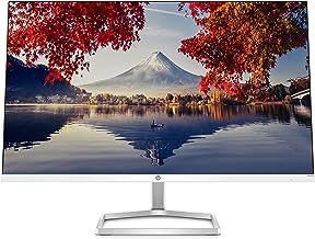 Monitor on rent